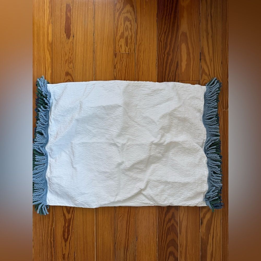 Anthropologie Pillowsham